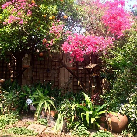 Claires Of Sandton Luxury Guest House Йоханнесбург Экстерьер фото