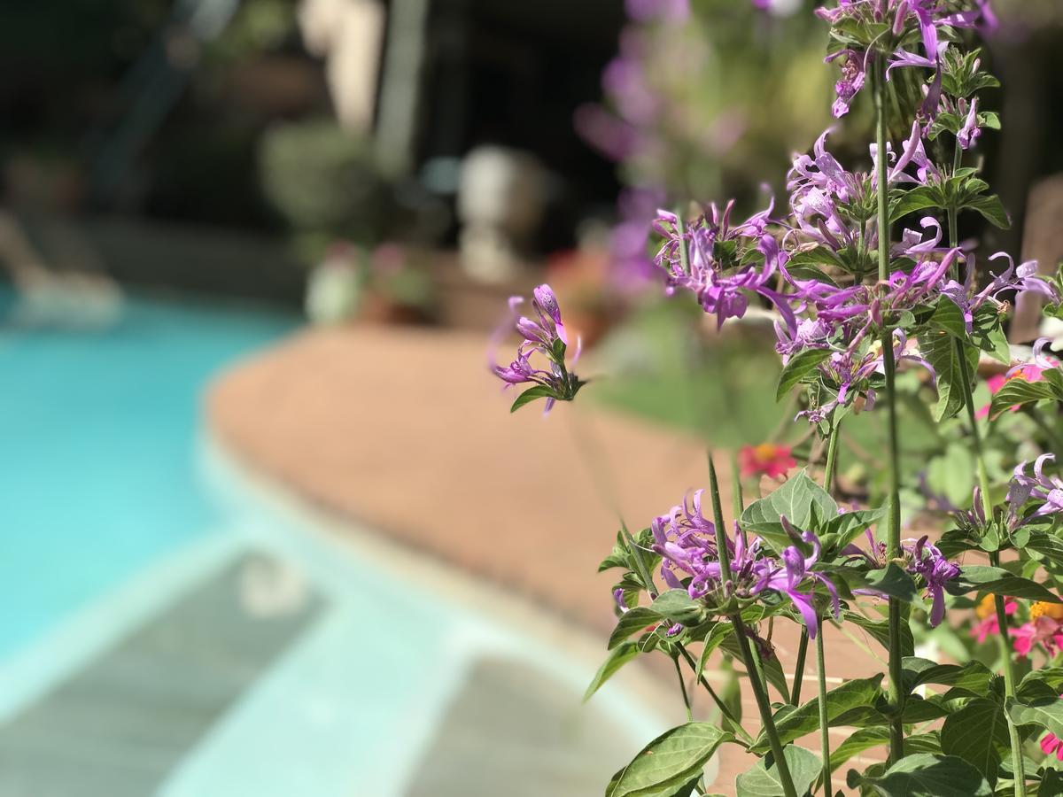 Claires Of Sandton Luxury Guest House Йоханнесбург Экстерьер фото
