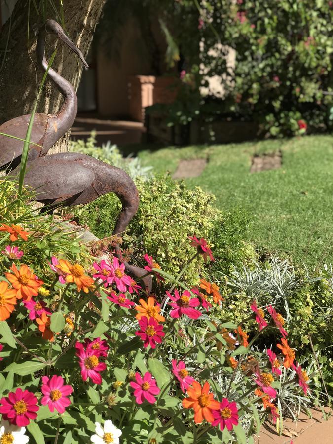Claires Of Sandton Luxury Guest House Йоханнесбург Экстерьер фото